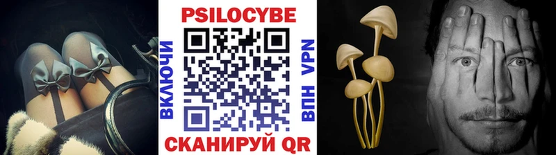 наркошоп  кракен маркетплейс  Псилоцибиновые грибы Cubensis  Вилюйск 